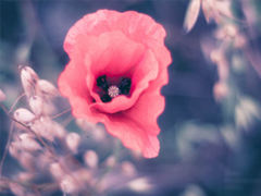 2019最新三月心情說說有點傷感 心里不是滋味的說說短句