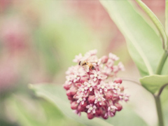 很特別適合女生的個(gè)性說(shuō)說(shuō)大全 朋友圈女生簡(jiǎn)單有氣質(zhì)的話(huà)語(yǔ)