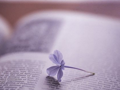 給女生的小情話暖人心超浪漫 低調(diào)秀恩愛的說說心情短語