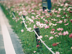 2018最后一天對(duì)自己說(shuō)的話經(jīng)典版 致即將逝去的2018！