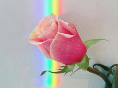 只想送給自己的句子說說心情精選 朋友圈適合艾特自己的說說大全