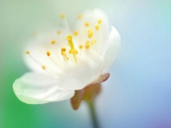 適合這個年紀發(fā)的說說朋友圈 簡單又走心的心情說說引人共鳴