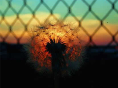 30條有道理的經(jīng)典說說 簡(jiǎn)短但是道理深刻的句子大全