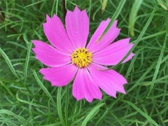 2019最新微信經(jīng)典短句 今年很流行的經(jīng)典語(yǔ)錄