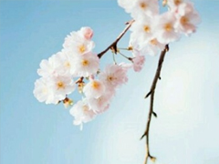 最好朋友領(lǐng)證結(jié)婚的祝福說說 2019好閨蜜結(jié)婚的說說優(yōu)美好聽