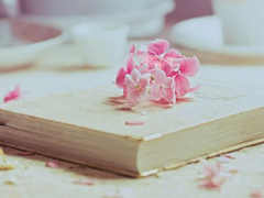 快手愛(ài)情語(yǔ)錄說(shuō)說(shuō)大全 快手說(shuō)說(shuō)句子熱門情話