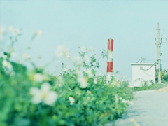 寫給自己的微信說說經(jīng)典內(nèi)涵 全新一句話說說致自己