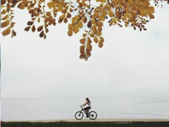 最新元旦個(gè)性說(shuō)說(shuō)2019要加油 拼搏道路上經(jīng)典的話語(yǔ)