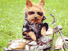 女人不花心，又怎么對(duì)得起貌美如花