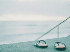 你們當(dāng)年是因?yàn)槭裁炊x擇的如今的大學(xué)呢？