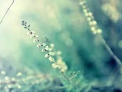 抖音經(jīng)典好聽的愛情說說 心有多近那么距離就有多近