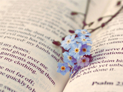 2019最真摯走心的愛情說說 讓人感動(dòng)淚目的情話合集