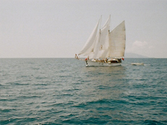 微信說說和愛情有關的句子 一句話詮釋愛情的經典說說