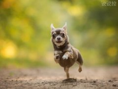 搞笑的朋友圈說說，適合發(fā)朋友圈的搞笑段子