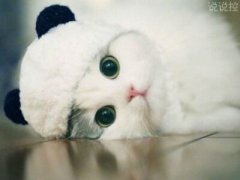 經(jīng)典搞笑語錄，經(jīng)典搞笑句子