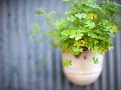 關(guān)于愛情的有些傷感但卻很有道理的唯美文藝說說