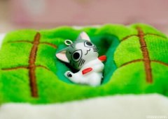 關(guān)于秋褲的搞笑句子，忘穿秋褲的搞笑段子