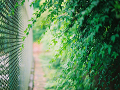 愛情中的孤獨寂寞說說 每個人都曾在愛情中流淚的傷感說說