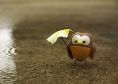 經(jīng)典搞笑說說大全：數(shù)學(xué)其實十分簡單，只是剩下那90分很難