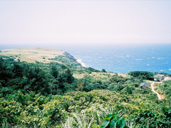 2018經(jīng)典英文個(gè)性說說大全帶翻譯 很有哲理有道理的精辟英文說說