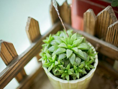 網易云音樂熱評語錄短語精選2019 我勸你早點喜歡我免得浪費時間