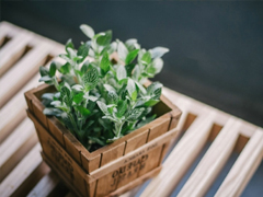 2019四月朋友圈小清新句子帶圖片 四月你好淡淡的陽光淡淡的風(fēng)