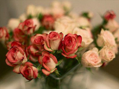 15條愛情說說我的心里話 愛情中最真實(shí)的感受說說配圖