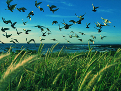 鼓舞人心的經(jīng)典說(shuō)說(shuō)帶圖片 朋友圈點(diǎn)贊超多的經(jīng)典說(shuō)說(shuō)