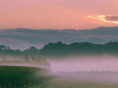 簡(jiǎn)短的帶唯美的說(shuō)活帶圖片 簡(jiǎn)單一句話說(shuō)說(shuō)表達(dá)心中的情感