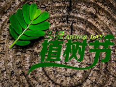 2019植樹節(jié)微信說說帶圖片 適合植樹節(jié)發(fā)的的心情說說短語