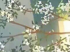 唯美優(yōu)美的文藝說說帶圖片 是我如今焚琴煮鶴忘了曾經(jīng)風花雪月