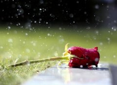 QQ空間說說圖片：明知道我是你的將就，卻還是把你當(dāng)做我的所有