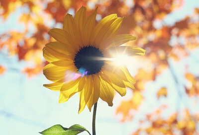 堅(jiān)強(qiáng)的說(shuō)說(shuō)帶圖片：沒(méi)有傘的孩子，必須努力奔跑！