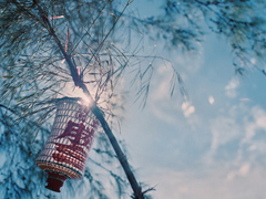 文字控偏愛的文藝小清新簡單的唯美句子帶圖片