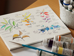 超唯美文藝的說(shuō)說(shuō)帶圖片 你看沒(méi)看見(jiàn)我都盛開(kāi)風(fēng)來(lái)不來(lái)芬芳都在