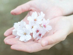 唯美簡(jiǎn)單的英文說(shuō)說(shuō)帶圖片 世人萬(wàn)千種浮云莫去求