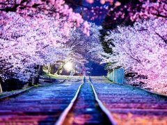 傷感說說帶圖片：我曾路過你的心，不是我不想停留而是你不肯收留