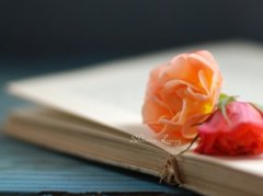 最新說說帶圖片：愛情就是這樣，有些人寧愿疼死，也不愿意放開