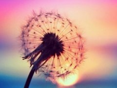 心情說(shuō)說(shuō)帶圖片：有一個(gè)人，讓你曾經(jīng)發(fā)了瘋的想，如今拼了命的忘