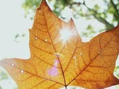 唯美時尚愛情說說帶圖片 很好看的唯美愛情說說精選