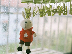 文字控喜歡的溫暖治愈文藝說說帶圖片 想跌進你的懷里把夏天帶給你