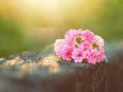 帶圖片的經(jīng)典說說：我們都曾不堪一擊，但時間讓我們刀槍不入