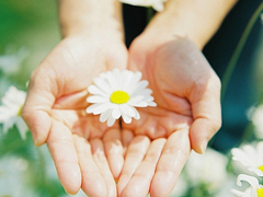 優(yōu)美說(shuō)說(shuō)唯美的句子配圖：海底月是天上月，只是鏡花水月