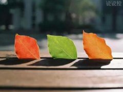 QQ空間唯美說說帶圖片