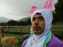 七夕情人節(jié)發(fā)什么說(shuō)說(shuō)搞笑 2018七夕發(fā)朋友圈搞笑說(shuō)說(shuō)段子加配圖