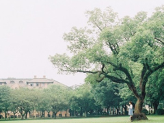 大學生必看的搞笑暖心情話說說帶圖片 不同系的學霸怎么表白