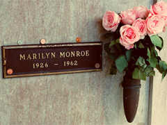 充滿少女心的浪漫愛情說說帶圖片 好聽簡約有詩意的說說合集