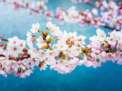 2019非主流經(jīng)典愛情說說帶圖片 很打動(dòng)人的一些愛情真理