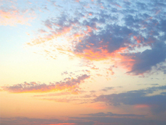 向女朋友求婚的話真實(shí)浪漫點(diǎn) 2019求婚句子大全簡單帶圖片