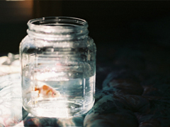 很真實(shí)的愛情感悟帶圖片 深有感觸的經(jīng)典愛情說說配圖